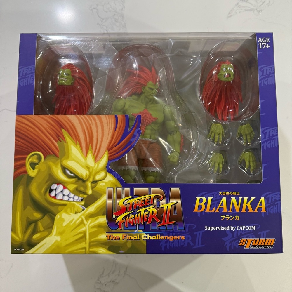 Blanks Ultra Street Fighter II Action Figure